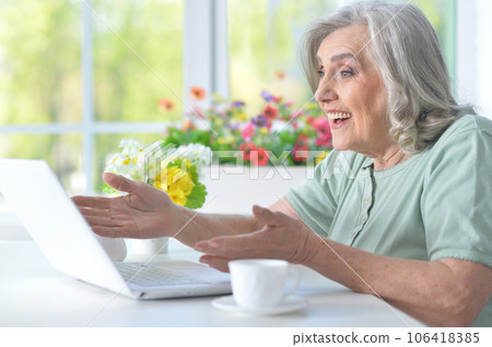 senior nice woman using laptop at home 106418385
