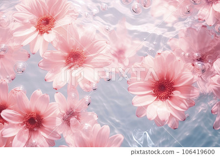 pink roses floating on blue water 106419600
