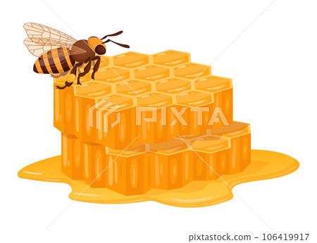 Honey bee with honeycomb. Cartoon sweet melting honey, honeycraft and beekeeping flat vector illustration. Bee with honey Honey bee with honeycomb. Cartoon sweet melting honey, honeycraft and beekeeping flat vector illustration. Bee with honey 106419917