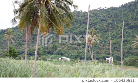Mountains in Banchang district Mountains in Banchang district 106420631
