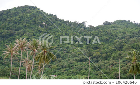 Mountains in Banchang district Mountains in Banchang district 106420640