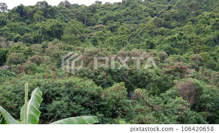 Mountains in Banchang district 106420658