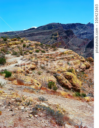 Along The Apache Trail Arizona on Film 106421663