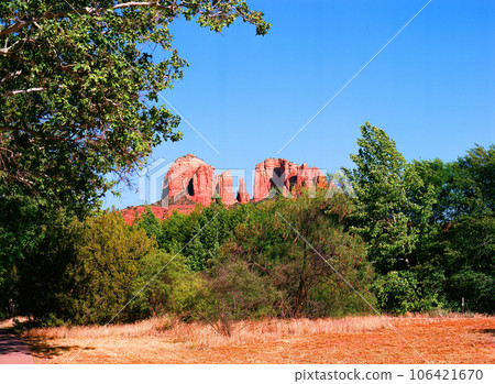 Cathedral Rock Sedona Arizona on Film 106421670