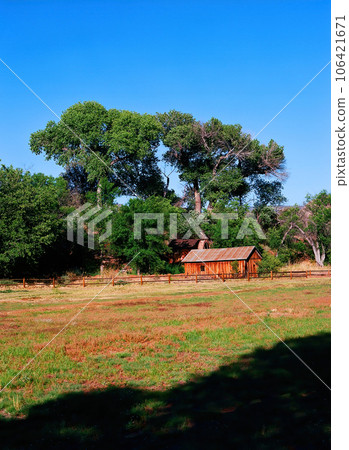Film Image of abandoned house 106421671