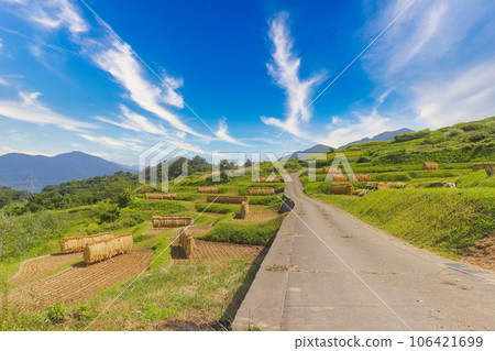 Rural landscape after harvesting Rural landscape after harvesting 106421699