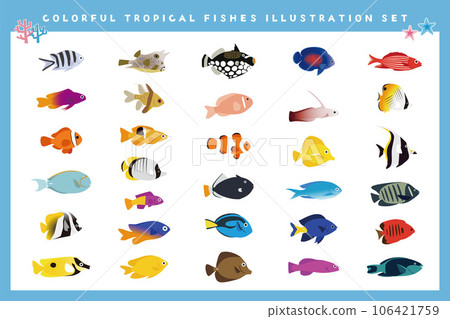 Illustration set of various tropical fish Tropical fish Illustration set of various tropical fish Tropical fish 106421759