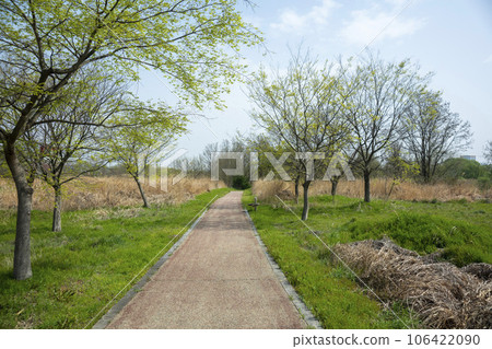 Hwangryong River, Yeongsan River, bicycle path, 106422090