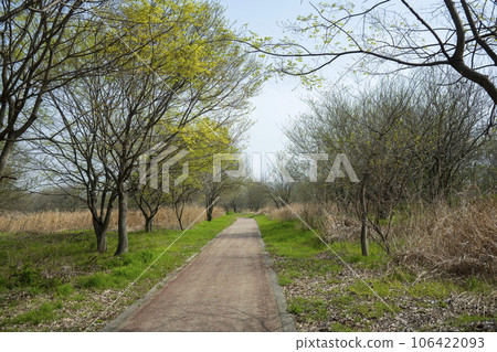 Hwangryong River, Yeongsan River, bicycle path, 106422093