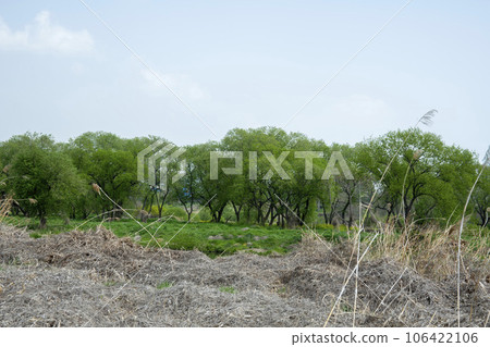 Hwangryong River, Yeongsan River, bicycle path, Hwangryong River, Yeongsan River, bicycle path, 106422106