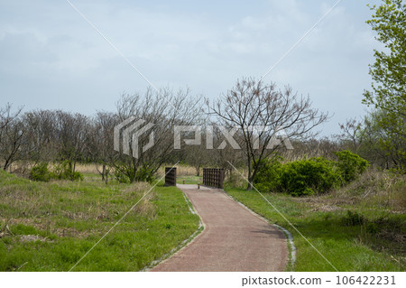 Hwangryong River, Yeongsan River, bicycle path, 106422231