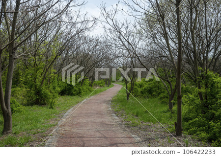 Hwangryong River, Yeongsan River, bicycle path, 106422233