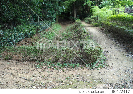 Dry moat around the main enclosure of Akayama Jinya Ruins (Akayama Castle Ruins) [Kawaguchi City, Saitama Prefecture] 106422417