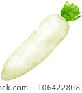 watercolor daikon radish kimchi clipart 106422808