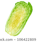 watercolor chinese cabbage kimchi clipart 106422809