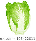 watercolor chinese cabbage kimchi clipart 106422811