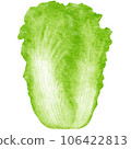 watercolor chinese cabbage kimchi clipart 106422813