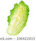 watercolor chinese cabbage kimchi clipart 106422815