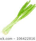 watercolor spring onion kimchi clipart 106422816