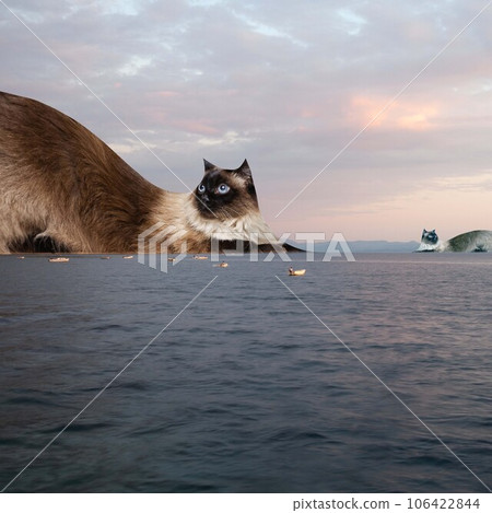 Purebred cats in image of mountains in ocean over sunset sky. Beautiful calm place. Contemporary art collage. 106422844