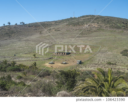 Grazing goats with shacks on hills at top of Barranco del Agua gorge at west of La Gomera island. Canary Islands, Spain 106423390