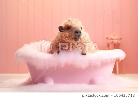 A cute capybara is sitting in a pink bubble bath on a pink background. A friendly animal washes and swims. Generated by AI. 106423718