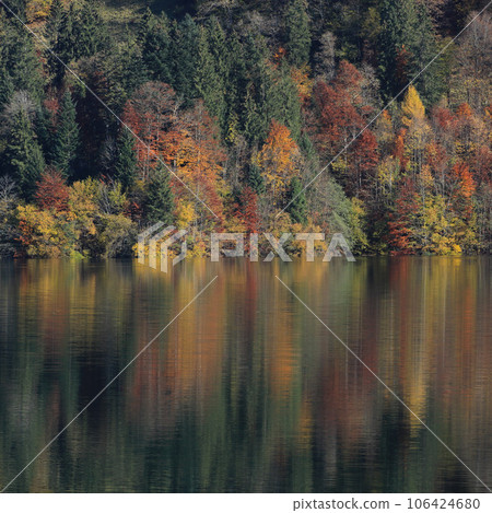 Colorful trees at the shore of Lake Wagital, Switzerland. 106424680