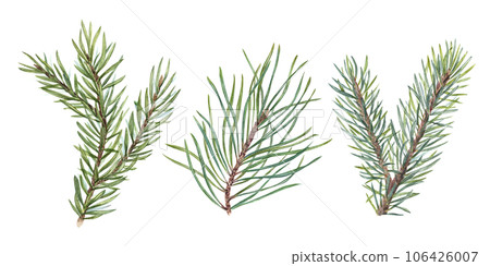 Watercolor Christmas Spruce, Fir, Pine branches. Evergreen plant. Botanical illustration of green lush sprig isolated on white. For winter postcard design, Xmas and New Year cards, greetings 106426007