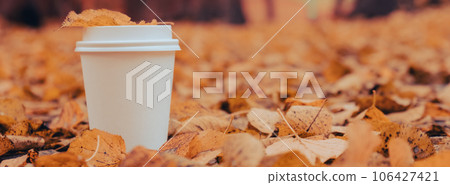 Eco zero waste white paper cup copy space mockup. Fall leaves and cup of tea coffee to go next to autumn nature. Unite with nature Eco zero waste white paper cup copy space mockup. Fall leaves and cup of tea coffee to go next to autumn nature. Unite with nature 106427421