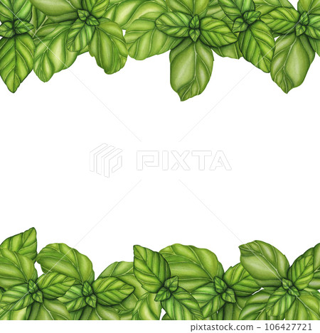 Watercolor frame basil branch with green leaves. Hand drawn botanical illustration isolated on white background. Spices herbs element for food recipes, labels, banners 106427721