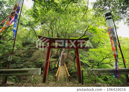 Ozu City, Ehime Prefecture, Goryuo Shrine Torii Ozu City, Ehime Prefecture, Goryuo Shrine Torii 106428016