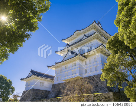 Odawara Castle, Japan / Odawara Castle, Japan Odawara Castle, Japan / Odawara Castle, Japan 106428095