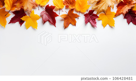 Autumn orange maple leaves isolated on white background 106428481