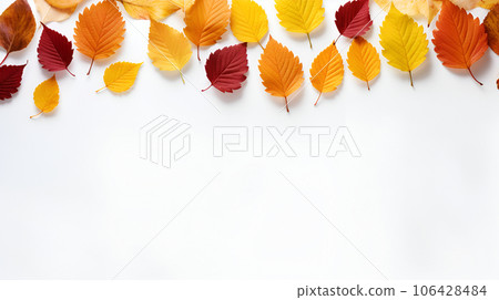 Autumn orange leaves isolated on white background Autumn orange leaves isolated on white background 106428484