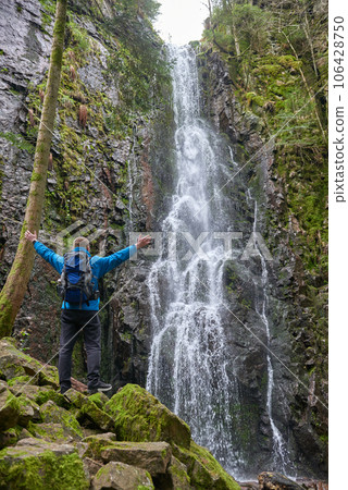 Tourist attraction of Germany - falls of Burgbach Waterfall near Schapbach, Black Forest, Baden-Wurttemberg, Germany. Man hiker in blue jacket standing on stone and looks at flow of falling water Tourist attraction of Germany - falls of Burgbach Waterfall near Schapbach, Black Forest, Baden-Wurttemberg, Germany. Man hiker in blue jacket standing on stone and looks at flow of falling water 106428750