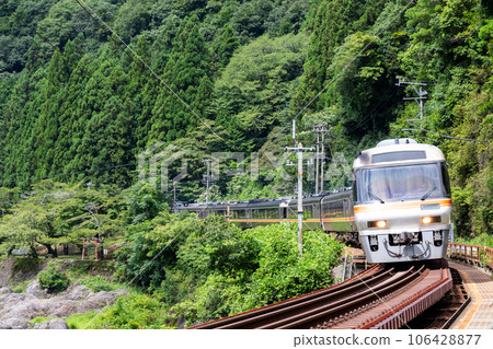 [Takayama Main Line] Limited Express Hida passing through Hisuikyo Rock Garden 106428877