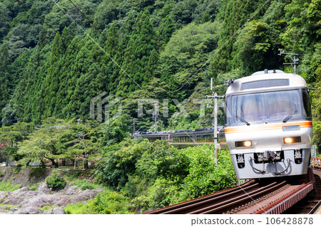 [Takayama Main Line] Limited Express Hida passing through Hisuikyo Rock Garden 106428878
