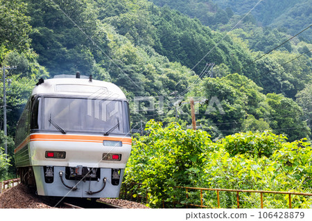 [Takayama Main Line] Limited Express Hida passing through Hisuikyo Rock Garden 106428879