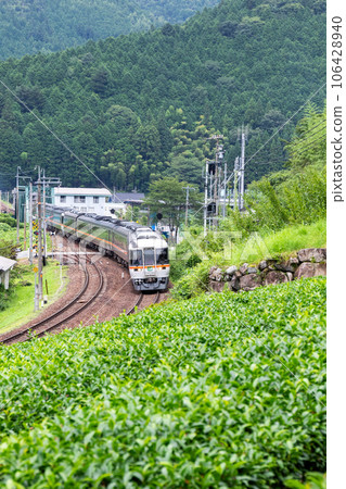 [高山本線]特快飛騨經過白川町的茶園 106428940