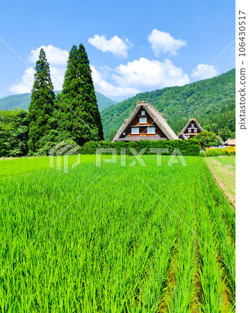 白川鄉(夏季) 白川鄉(夏季) 106430517