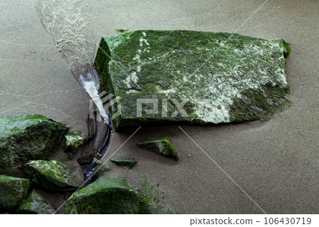 rock with moss in Hudson River river, Background photo 106430719
