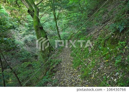 [Wanibuchi Temple (approach to Ukino Falls and Zao-do Hall)] Bessho-cho, Izumo City, Shimane Prefecture 106430766