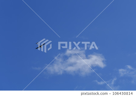 Small white cessna single propeller plane flying in a clear blue sky  106430814