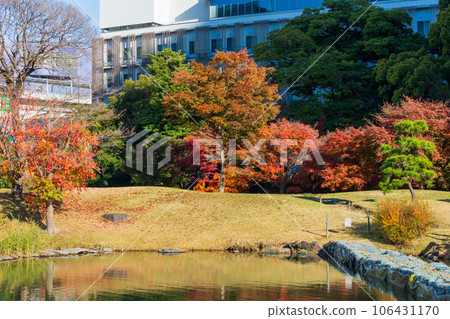 深秋的東京港區秋葉的九芝離宮花園 106431170