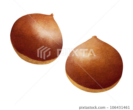 Sweet and delicious chestnut watercolor illustration Autumn food and nature Sweet and delicious chestnut watercolor illustration Autumn food and nature 106431461