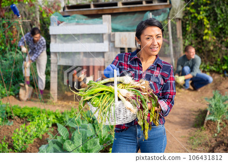 Portrait of woman farmer with basket of vegetables on field 106431812