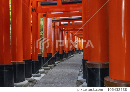 京都伏見稻荷大社 數千座鳥居 京都伏見稻荷大社 數千座鳥居 106432588