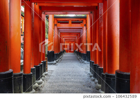 京都伏見稻荷大社 數千座鳥居 京都伏見稻荷大社 數千座鳥居 106432589