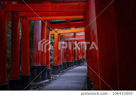 京都伏見稻荷大社 數千座鳥居 106432605