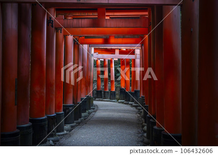 Kyoto Fushimi Inari Taisha Shrine Thousands of torii gates Kyoto Fushimi Inari Taisha Shrine Thousands of torii gates 106432606